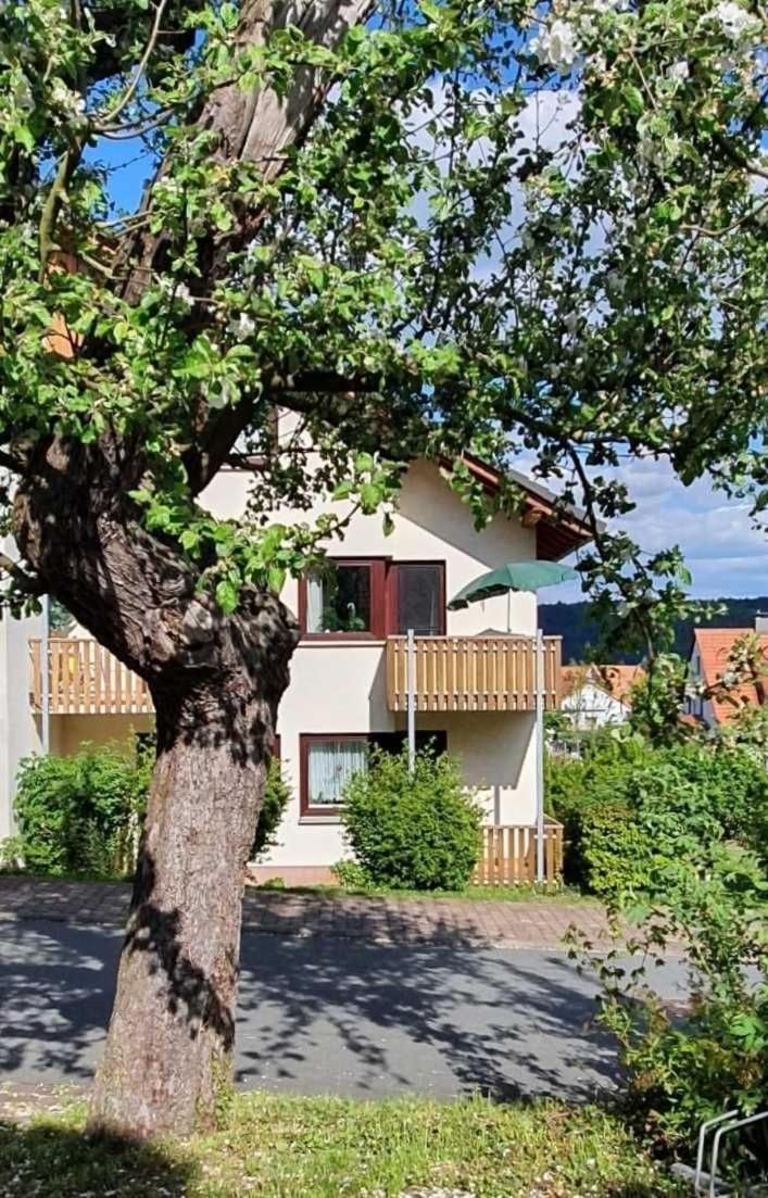 Kleinod Am Kurpark Apartment Bad Zwesten Bagian luar foto
