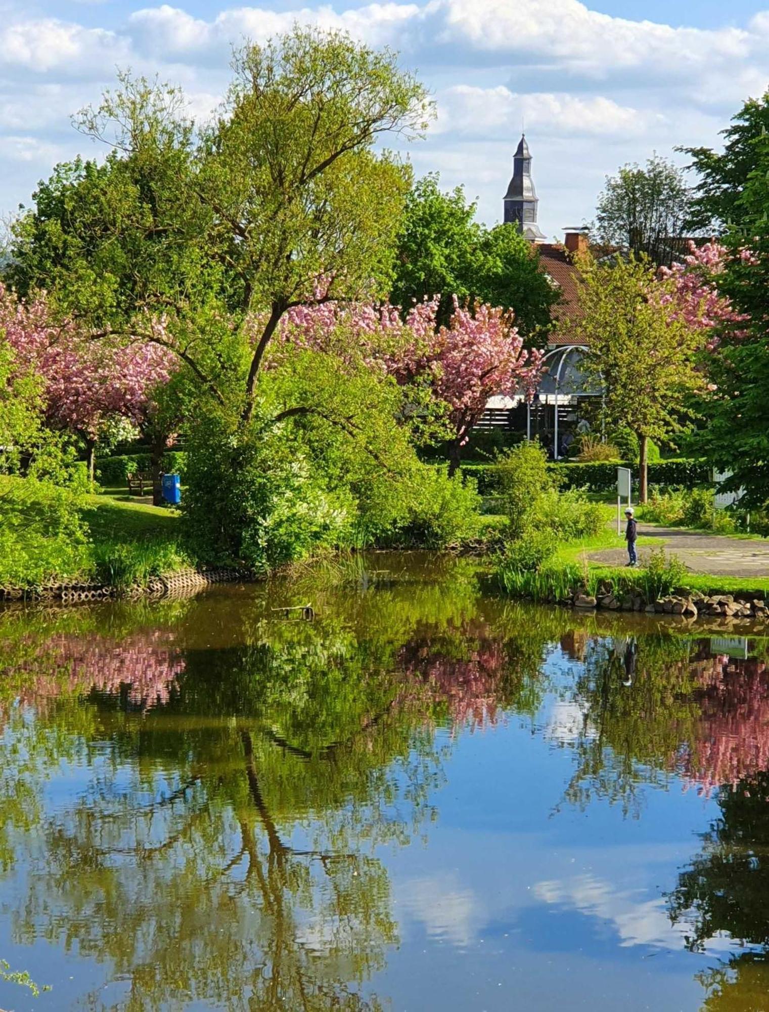 Kleinod Am Kurpark Apartment Bad Zwesten Bagian luar foto